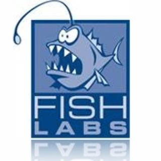 3A 加速：Fishlabs 扩充团队以推动移动“进化”